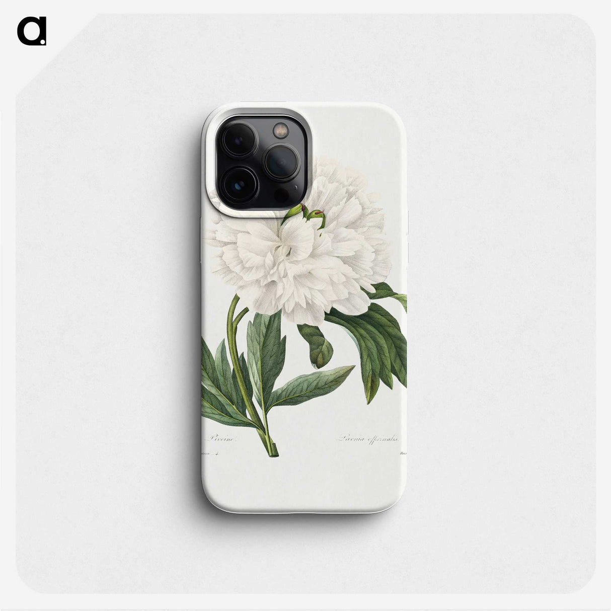 1-88_Pierre-Joseph-Redoute_phone