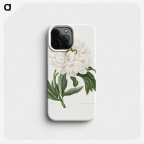 1-88_Pierre-Joseph-Redoute_phone