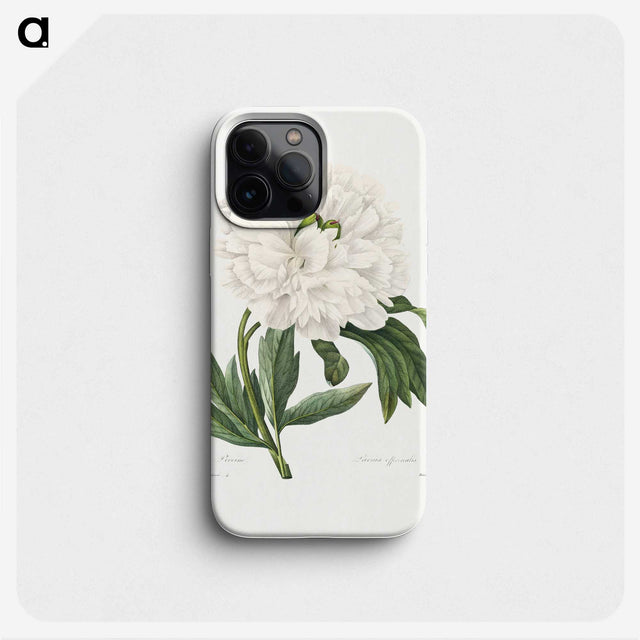 1-88_Pierre-Joseph-Redoute_phone