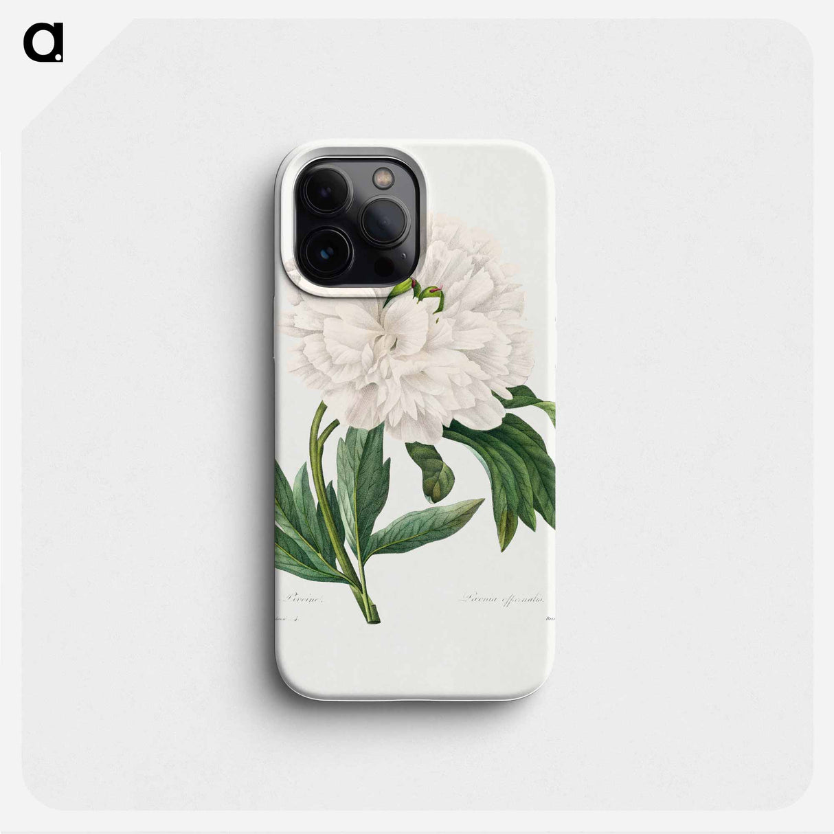 Peony - ピエール ジョゼフ ルドゥーテ Phone Case.