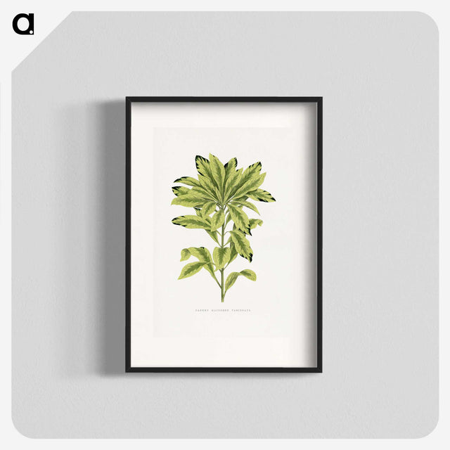 1-88_Plants-with-Colored-Foliage_blk