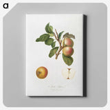 1-88_Pomona-Italiana_canvas
