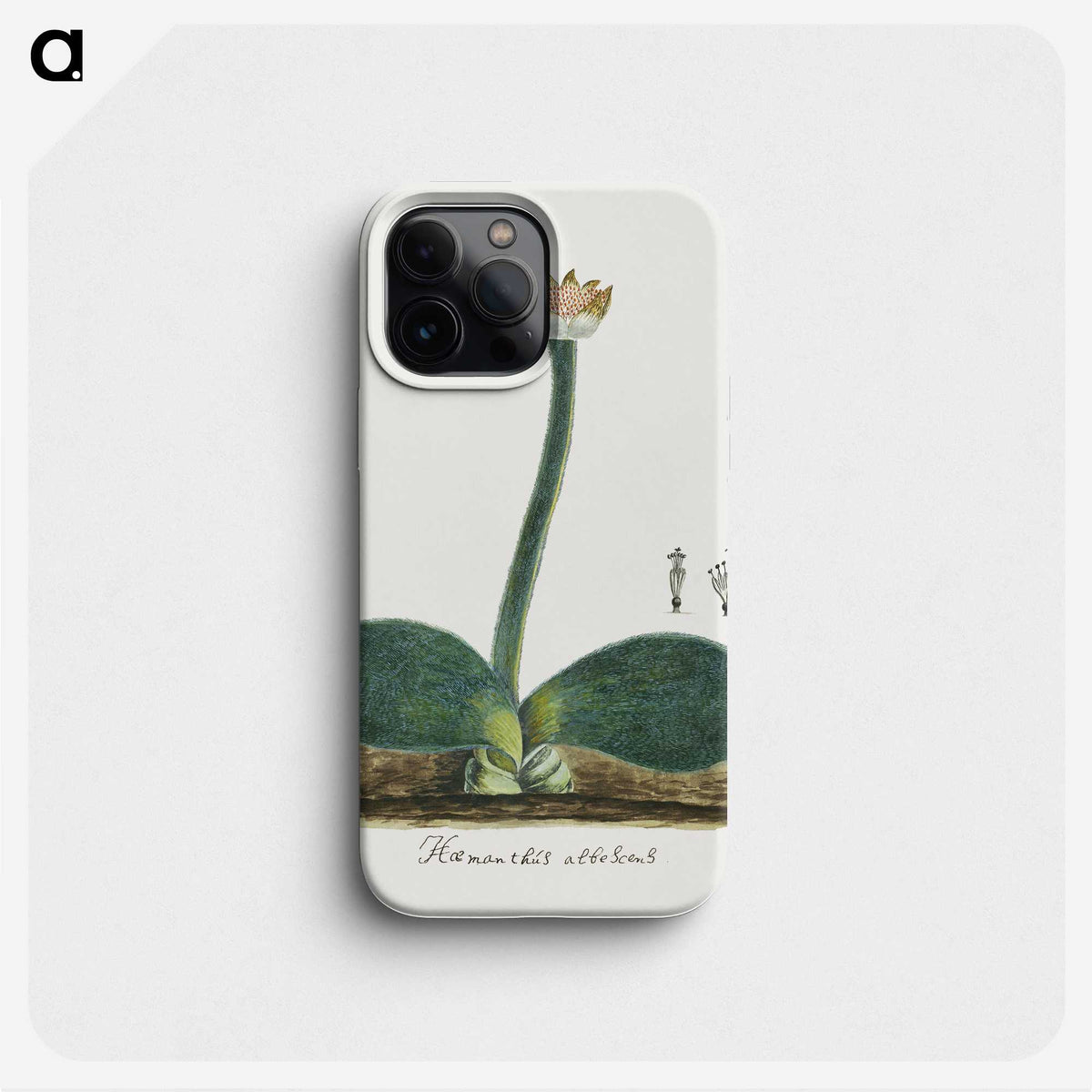 1-88_Robert-Jacob-Gordon_phone