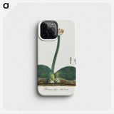1-88_Robert-Jacob-Gordon_phone