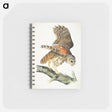 アートメモ帳-Plat from Birds of America
 - アメリカの鳥たち Memo.