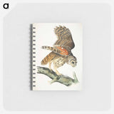 アートメモ帳-Plat from Birds of America
 - アメリカの鳥たち Memo.