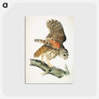 アートポストカード-Plat from Birds of America
 - アメリカの鳥たち Postcard.