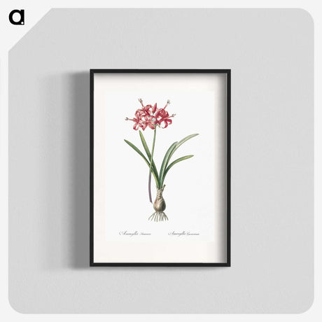 1-88_The-Lilies_blk
