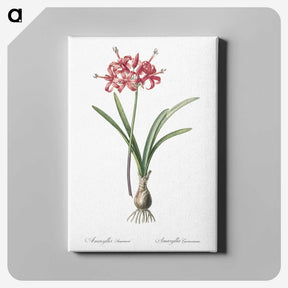 1-88_The-Lilies_canvas