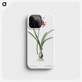 1-88_The-Lilies_phone