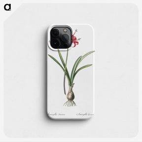 1-88_The-Lilies_phone