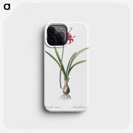 1-88_The-Lilies_phone