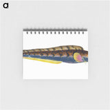 1-88_The-Natural-History-of-British-Fishes_memo