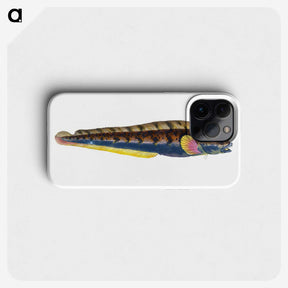 1-88_The-Natural-History-of-British-Fishes_phone