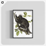 1-88_The-Viviparous-Quadrupeds_blk-crop