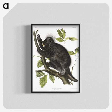 1-88_The-Viviparous-Quadrupeds_blk-crop