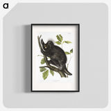 1-88_The-Viviparous-Quadrupeds_blk