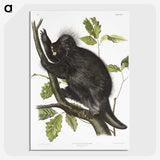1-88_The-Viviparous-Quadrupeds_picture-crop