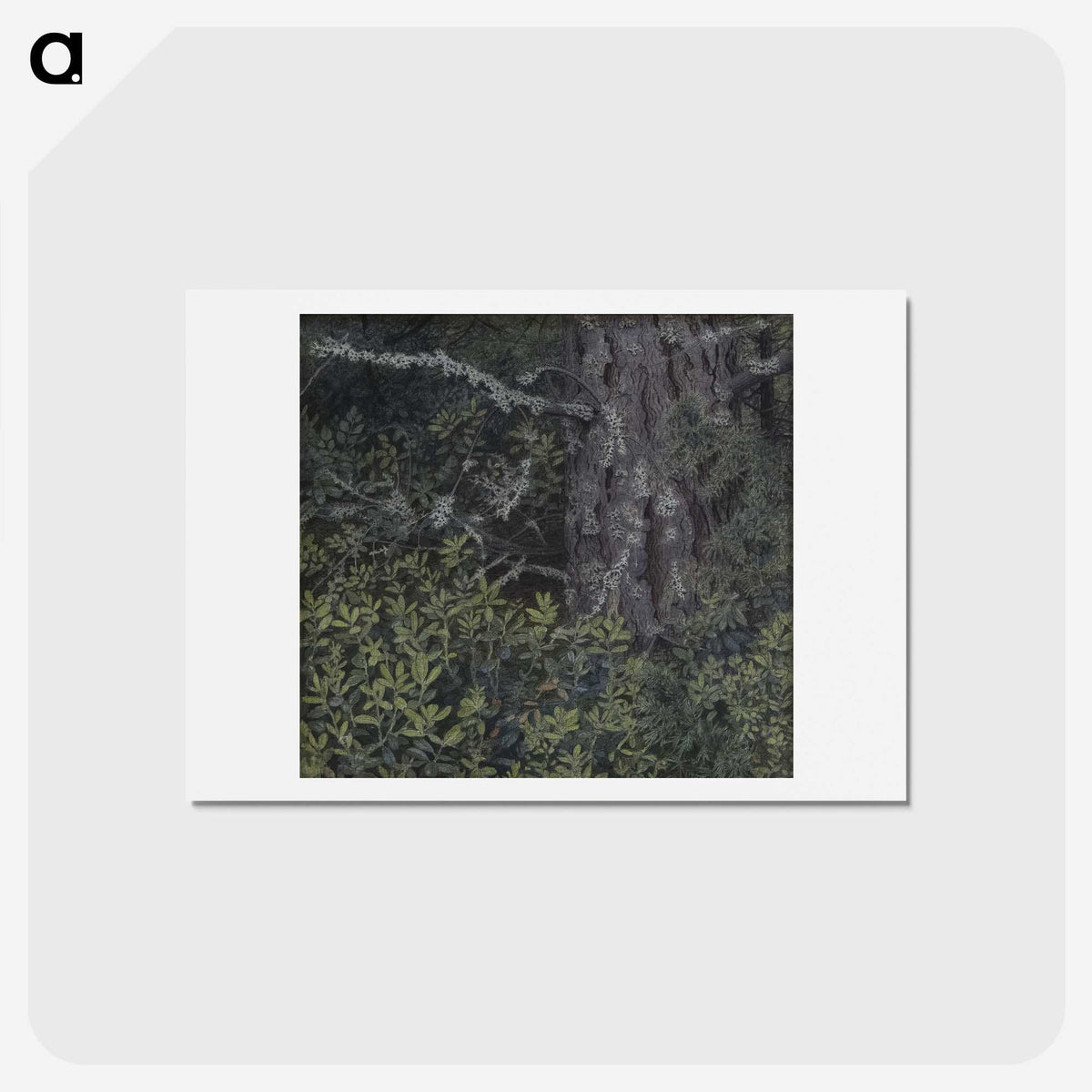 1-88_Thiel-Gallery_hagaki