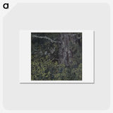 1-88_Thiel-Gallery_hagaki