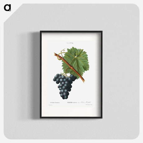 1-88_Treatise-on-Trees-and-Shrubs_blk
