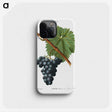 1-88_Treatise-on-Trees-and-Shrubs_phone
