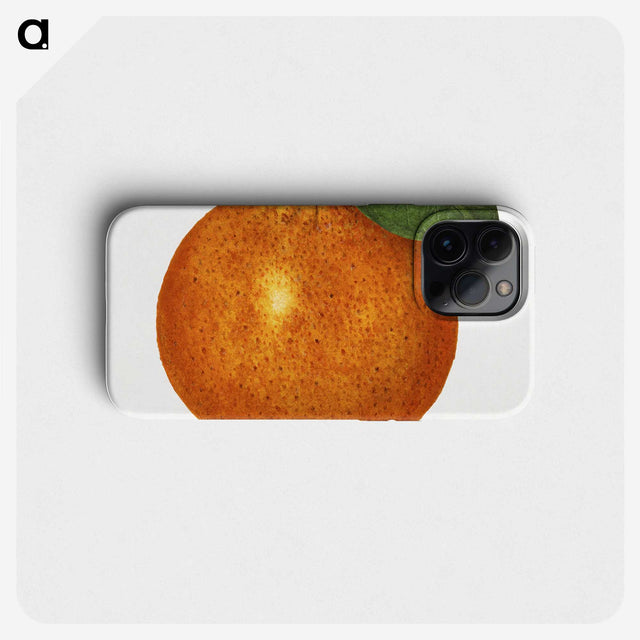 1-88_USDA-Watercolor-Fruit-Painting-Collection_phone