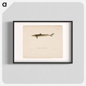 アートポスター-Dogfish - ヴィルヘルム フォン ライト Poster.