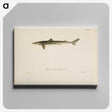 1-88_Wilhelm-von-Wright_canvas