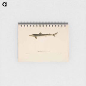 アートメモ帳-Dogfish - ヴィルヘルム フォン ライト Memo.