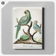 1-88_Yale-University-Art-Gallery_canvas