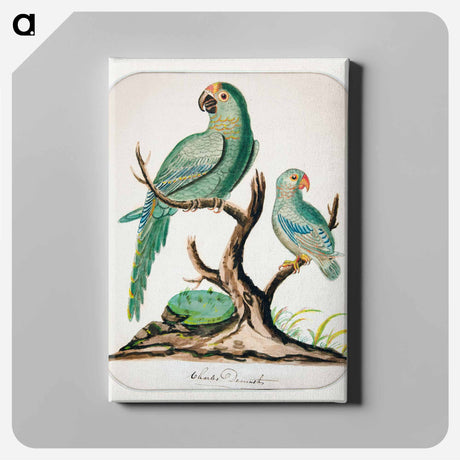 アートパネル-Two Parrots on a Barren Tree
 - イェール大学アートギャラリー Canvas.