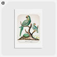 アートポストカード-Two Parrots on a Barren Tree
 - イェール大学アートギャラリー Postcard.