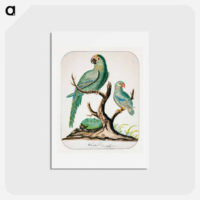 アートポストカード-Two Parrots on a Barren Tree
 - イェール大学アートギャラリー Postcard.