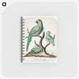 アートメモ帳-Two Parrots on a Barren Tree
 - イェール大学アートギャラリー Memo.