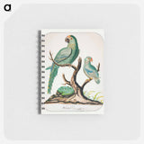 アートメモ帳-Two Parrots on a Barren Tree
 - イェール大学アートギャラリー Memo.