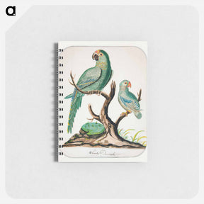 アートメモ帳-Two Parrots on a Barren Tree
 - イェール大学アートギャラリー Memo.