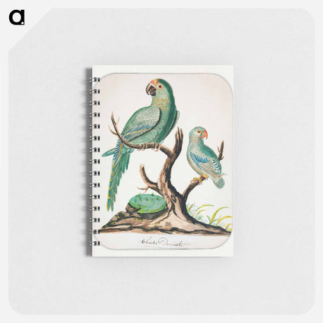 アートメモ帳-Two Parrots on a Barren Tree
 - イェール大学アートギャラリー Memo.