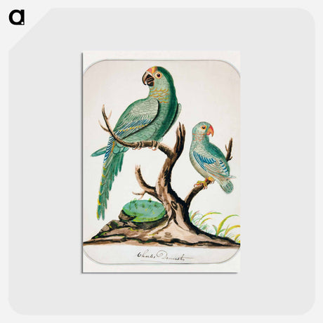 アートポストカード-Two Parrots on a Barren Tree
 - イェール大学アートギャラリー Postcard.