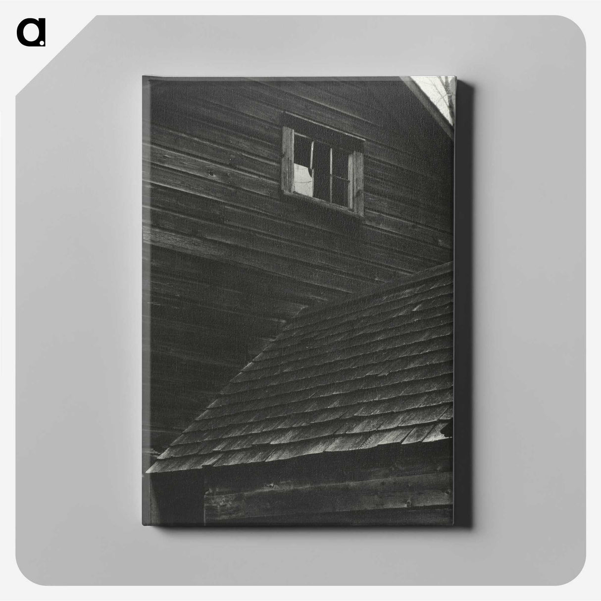 1-89_Alfred-Stieglitz_canvas