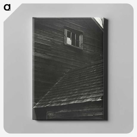 1-89_Alfred-Stieglitz_canvas