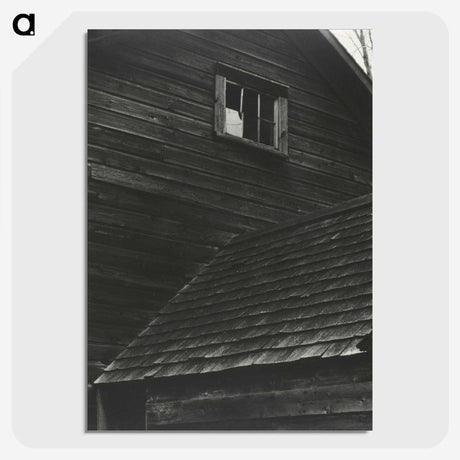 1-89_Alfred-Stieglitz_picture-crop