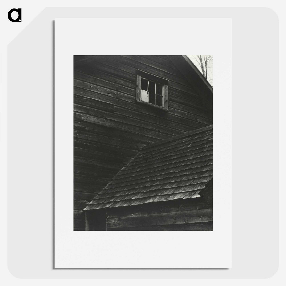 1-89_Alfred-Stieglitz_picture