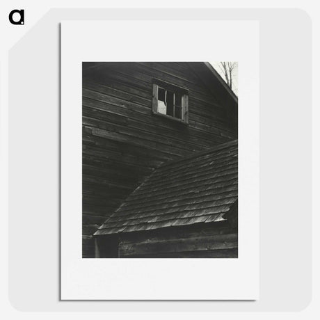 1-89_Alfred-Stieglitz_picture