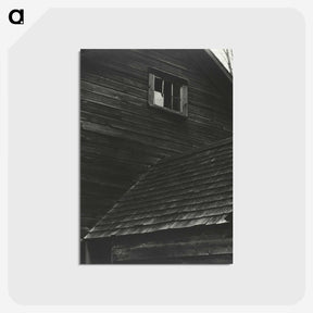 1-89_Alfred-Stieglitz_postcard