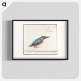 The Kingfisher - アンセルムス ボエティウス デ ブート Poster.