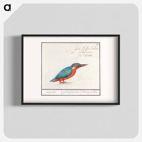 アートポスター-The Kingfisher - アンセルムス ボエティウス デ ブート Poster.