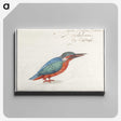 1-89_Anselmus-Boetius-de-Boodt_canvas