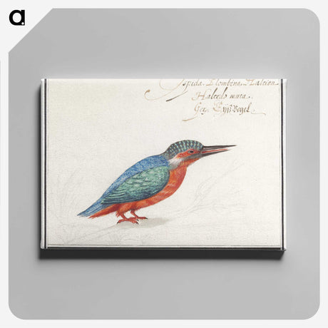 1-89_Anselmus-Boetius-de-Boodt_canvas