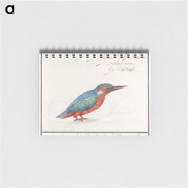 1-89_Anselmus-Boetius-de-Boodt_memo